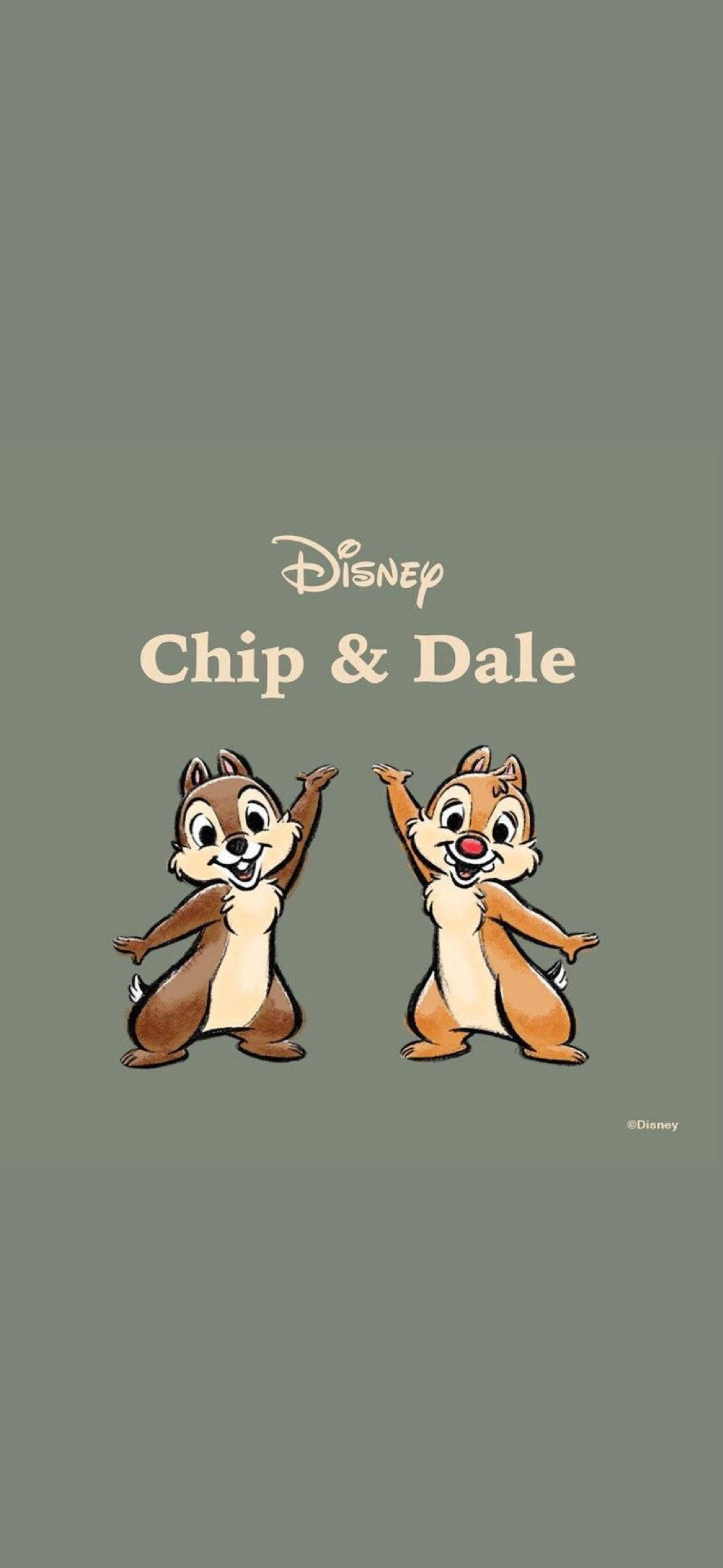 Chip N Dale harmaalla taustalla Taustakuvat