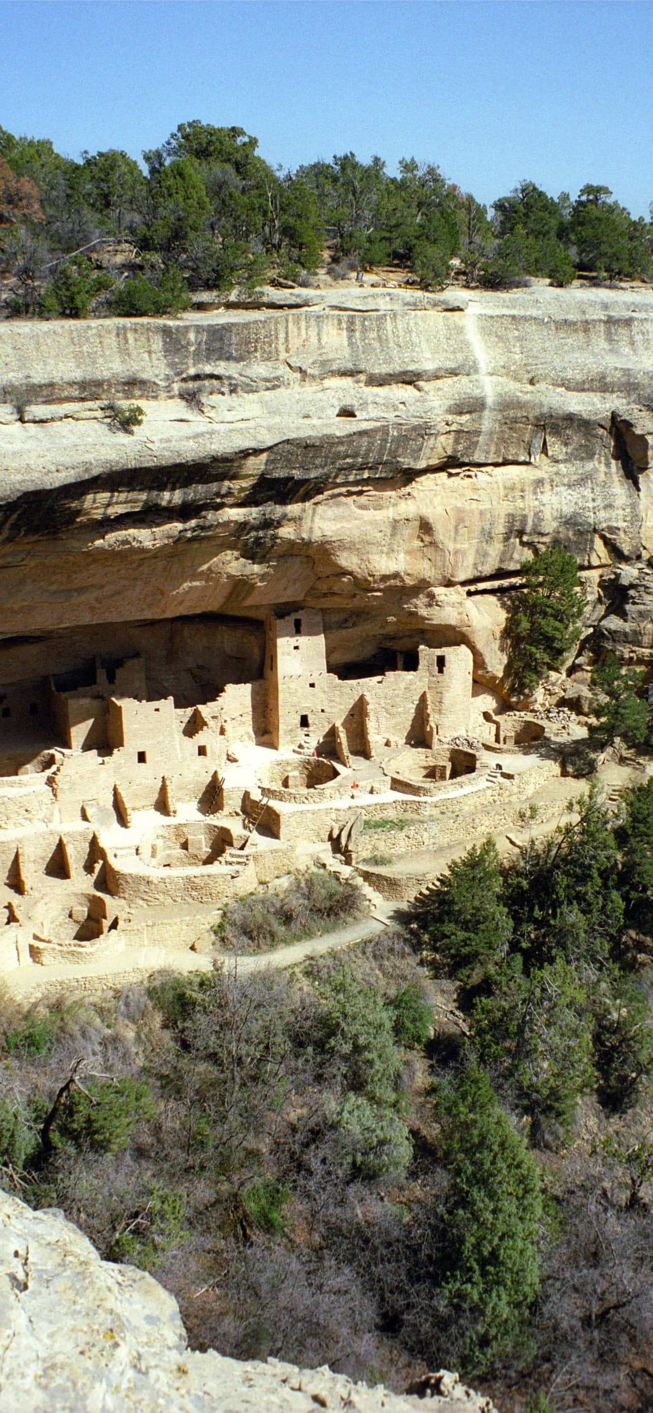 Cliff Palace Tan Väri Mesa Verde National Park Taustakuvat
