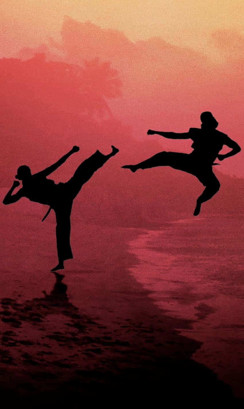 Cobra Kai iPhone Xr Taistelusiluetti Taustakuva Taustakuvat