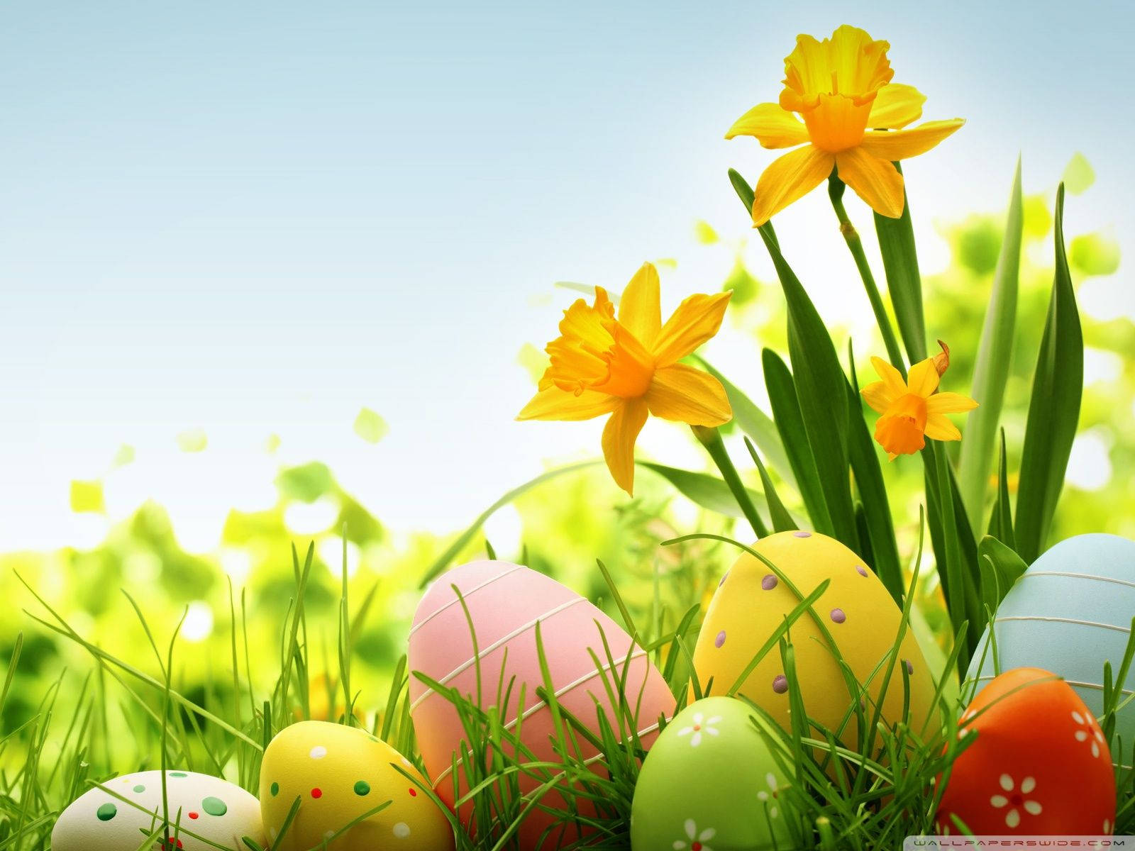 Colorful Easter Tradition Taustakuvat