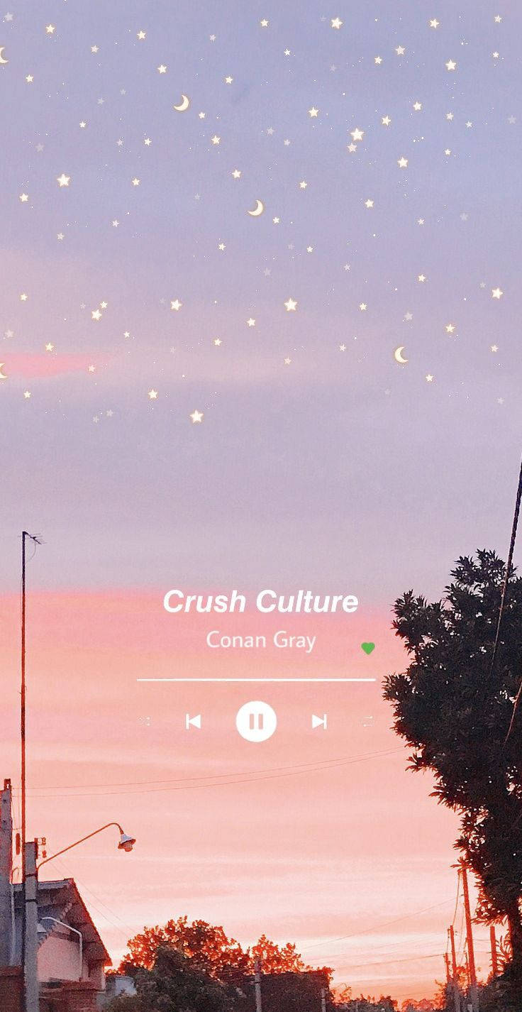 Conan Gray Musiikkiestetiikka Taustakuvat