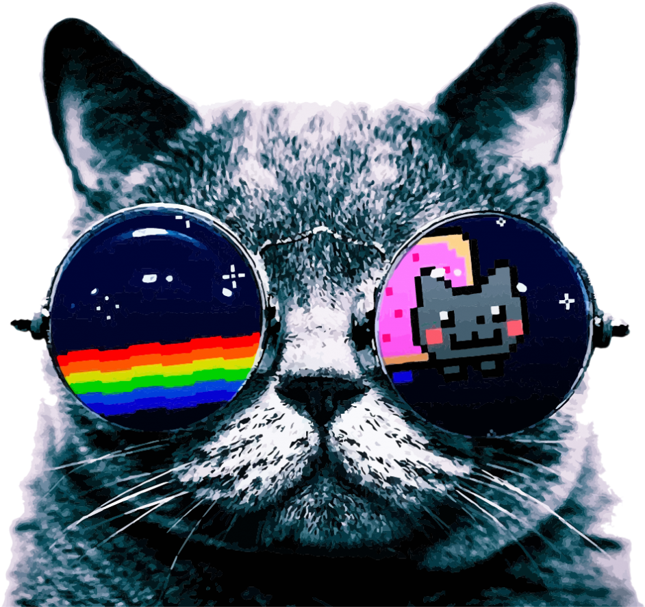 Cool Cat Meme aurinkolaseilla Taustakuvat