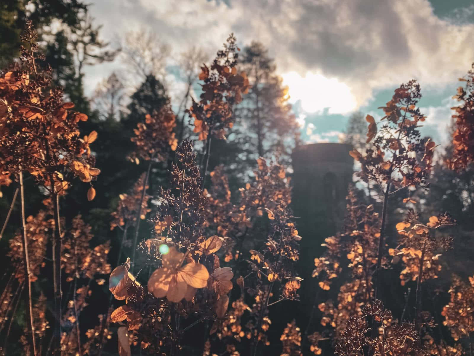 Cottagecore Aesthetic - Rauhallisuus Taustakuvat