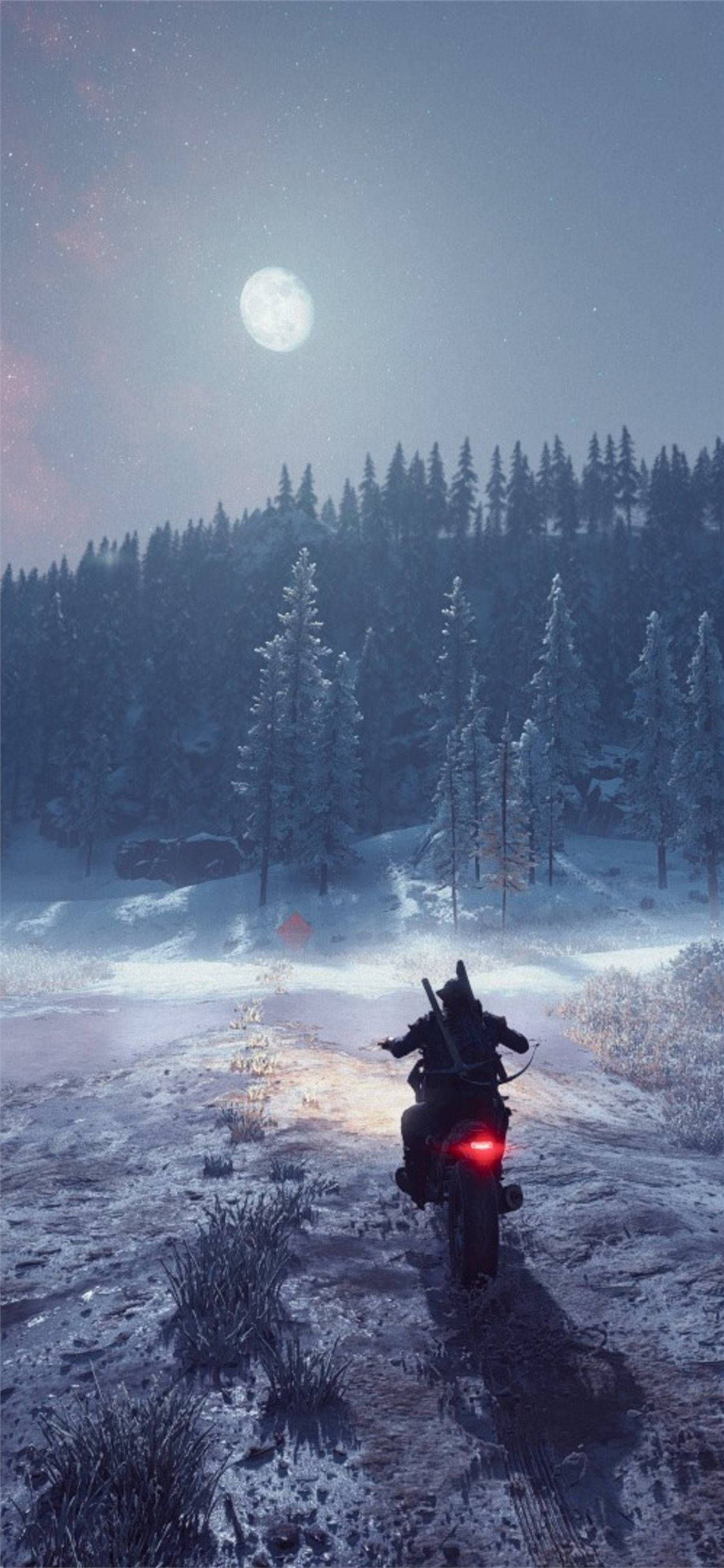 Days Gone - Ajelu talvella Taustakuvat