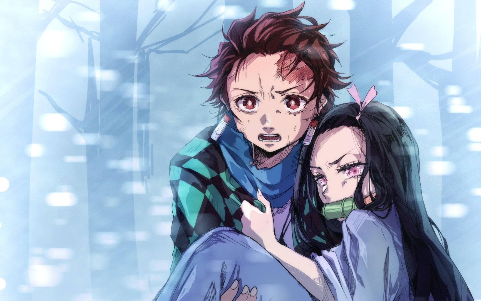 Demon Slayer Tanjiro kantaa Taustakuvat