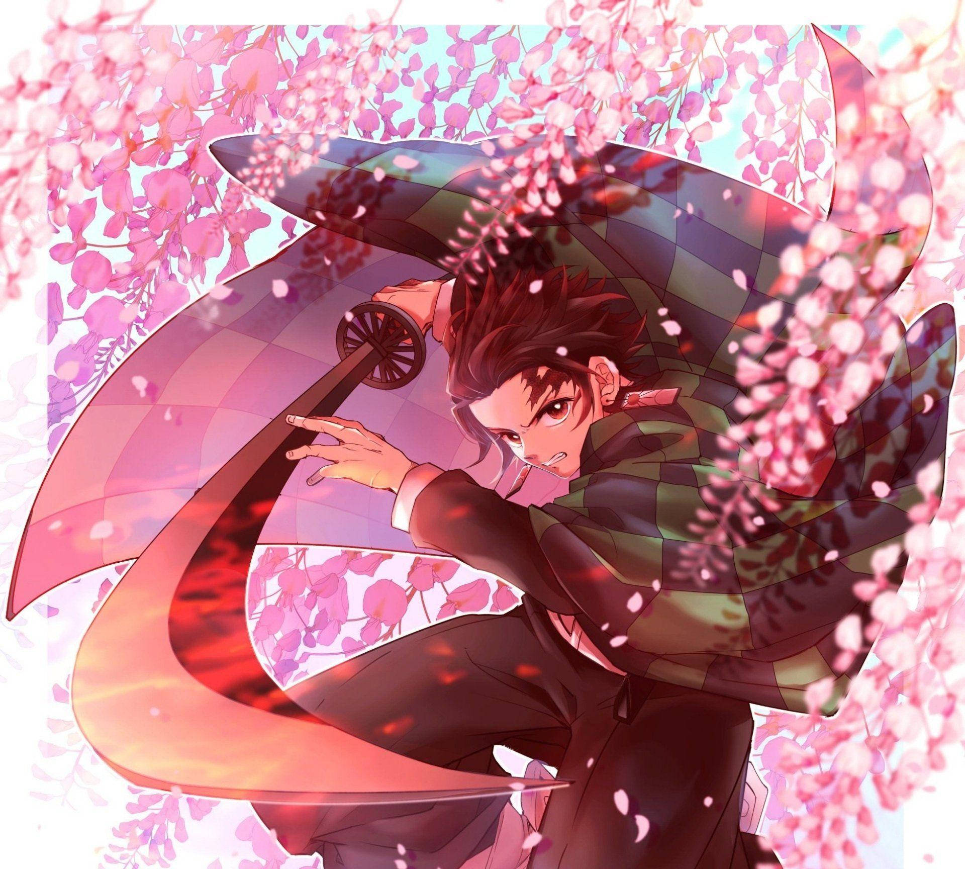 Demon Slayer Tanjiro vaaleanpunaiset kukat Taustakuvat