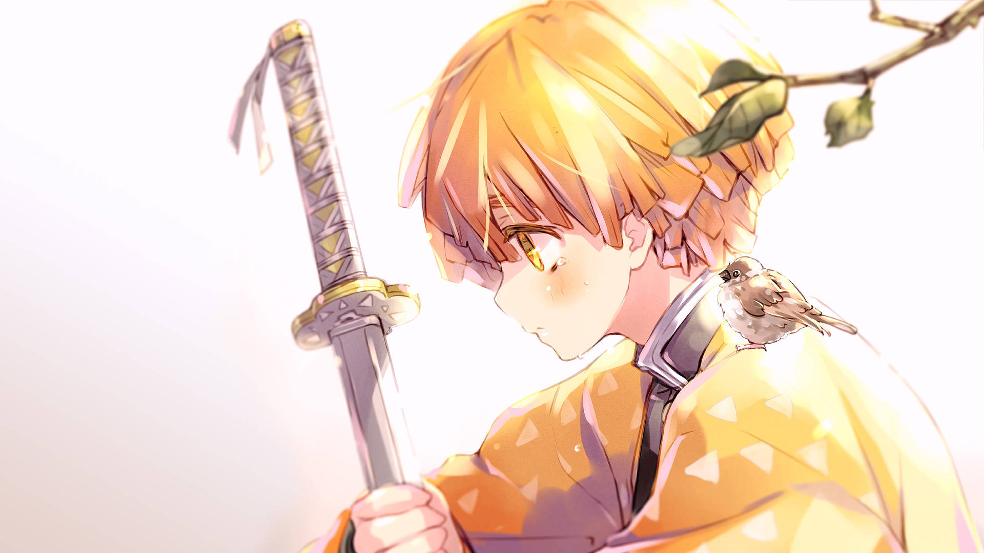 Demon Slayer Zenitsu auringonvalossa Taustakuvat