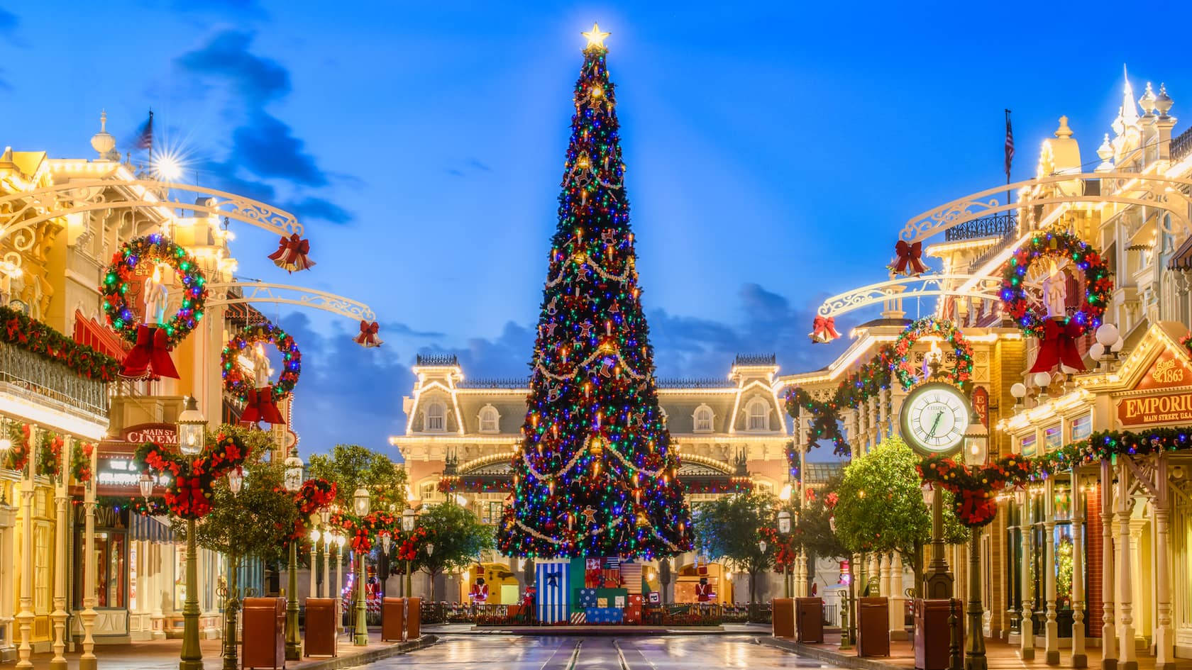 Disneyworld Joulukuusi Taustakuvat