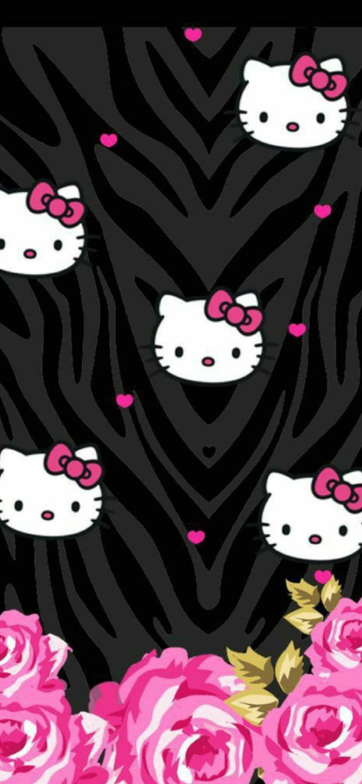 Eläinkuvio musta Hello Kitty Taustakuvat