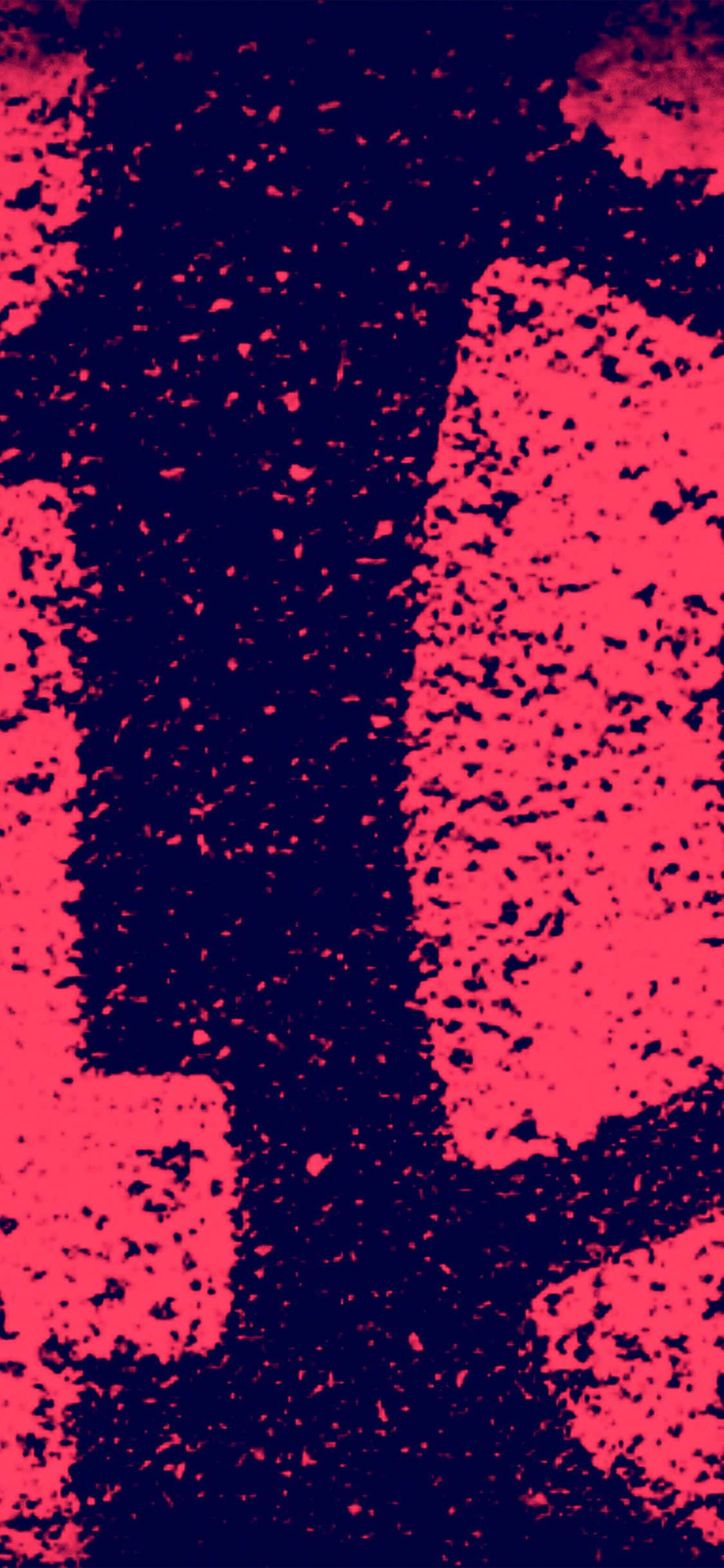 Elävä punainen grunge-tausta virtaavilla ja abstrakteilla muodoilla Taustakuvat