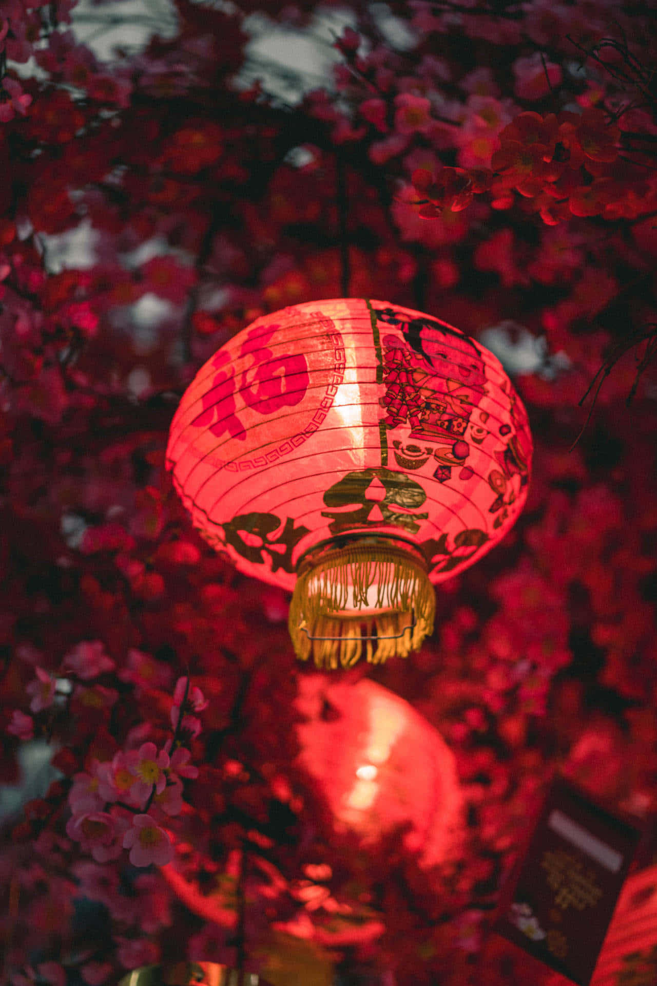 Elävät lyhdyt valaisemassa Kiinan muinaista katua Taustakuvat
