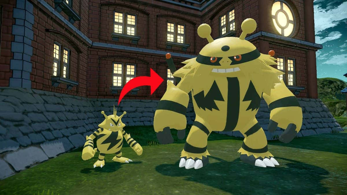 Electabuzz lataa energiaa Pokémon-taistelussa Taustakuvat