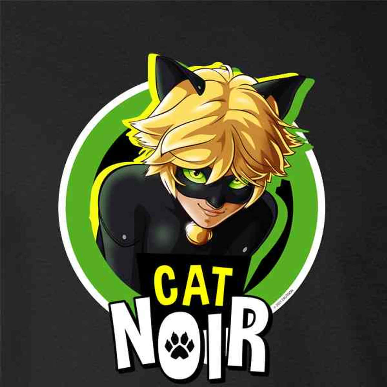 "Esittelyssä Cat Noir - moderni käänne klassisista sankareista, joita olemme oppineet rakastamaan!" Taustakuvat