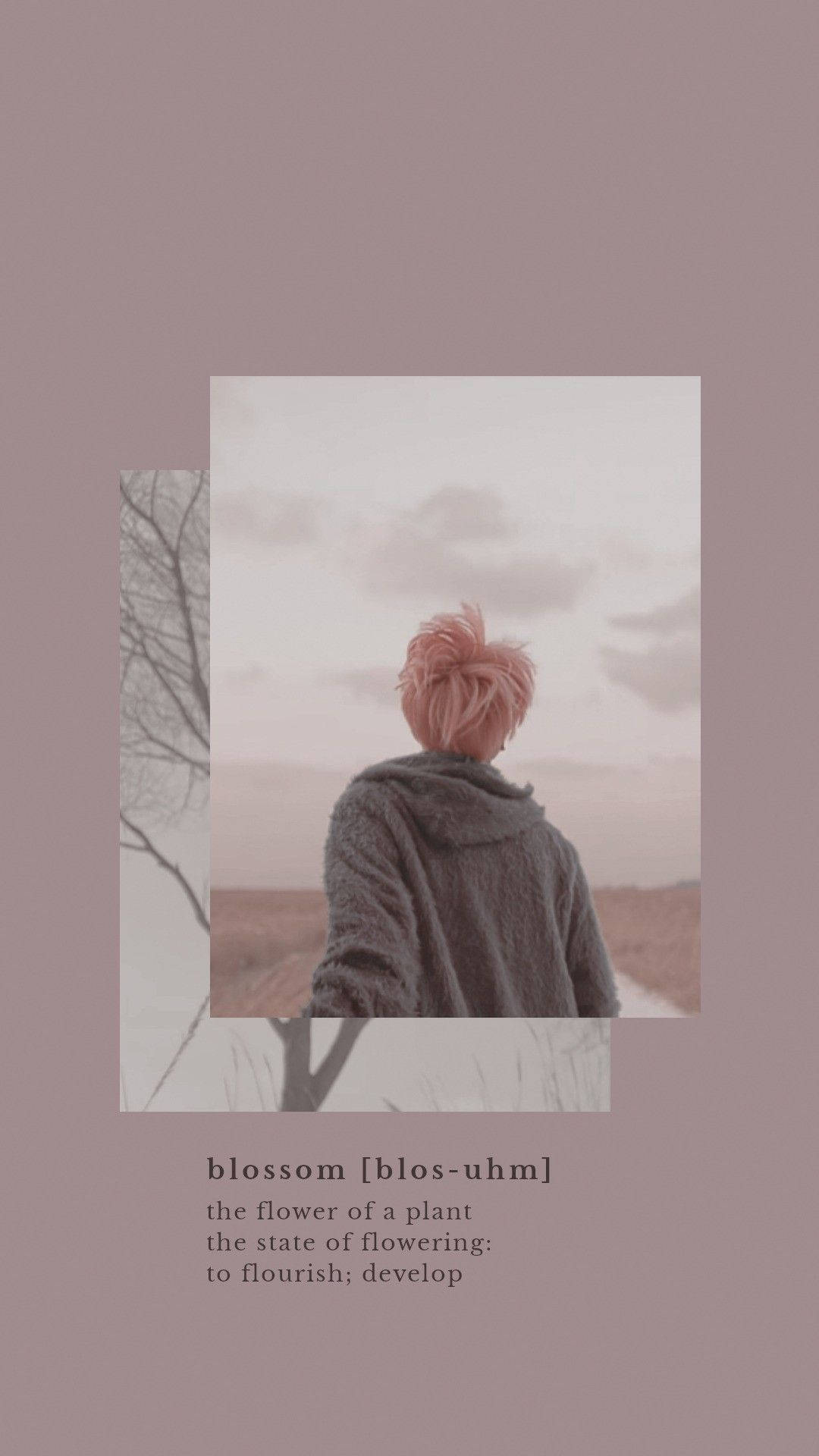 Esteettinen BTS Jimin Kukinta Taustakuvat
