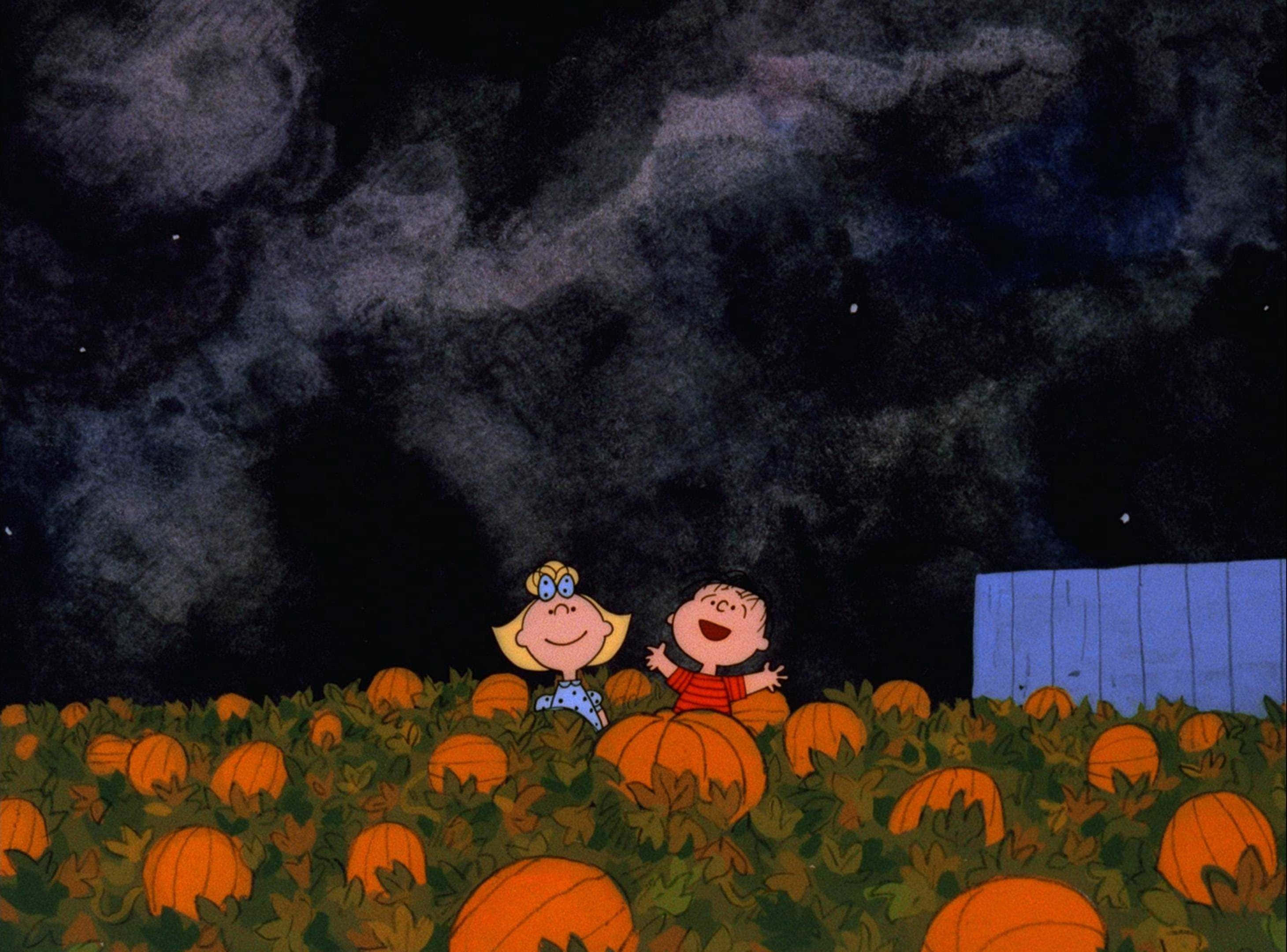 Esteettinen Halloween-tausta Kurpitsapelto Tenavat-hahmot Taustakuvat