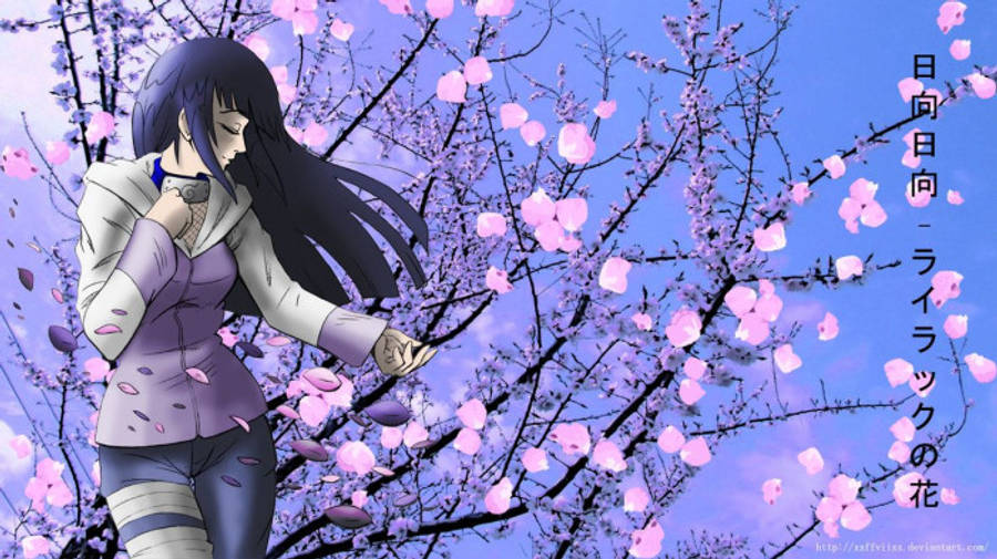 Esteettinen Hinata Sakura-puun luona Taustakuvat