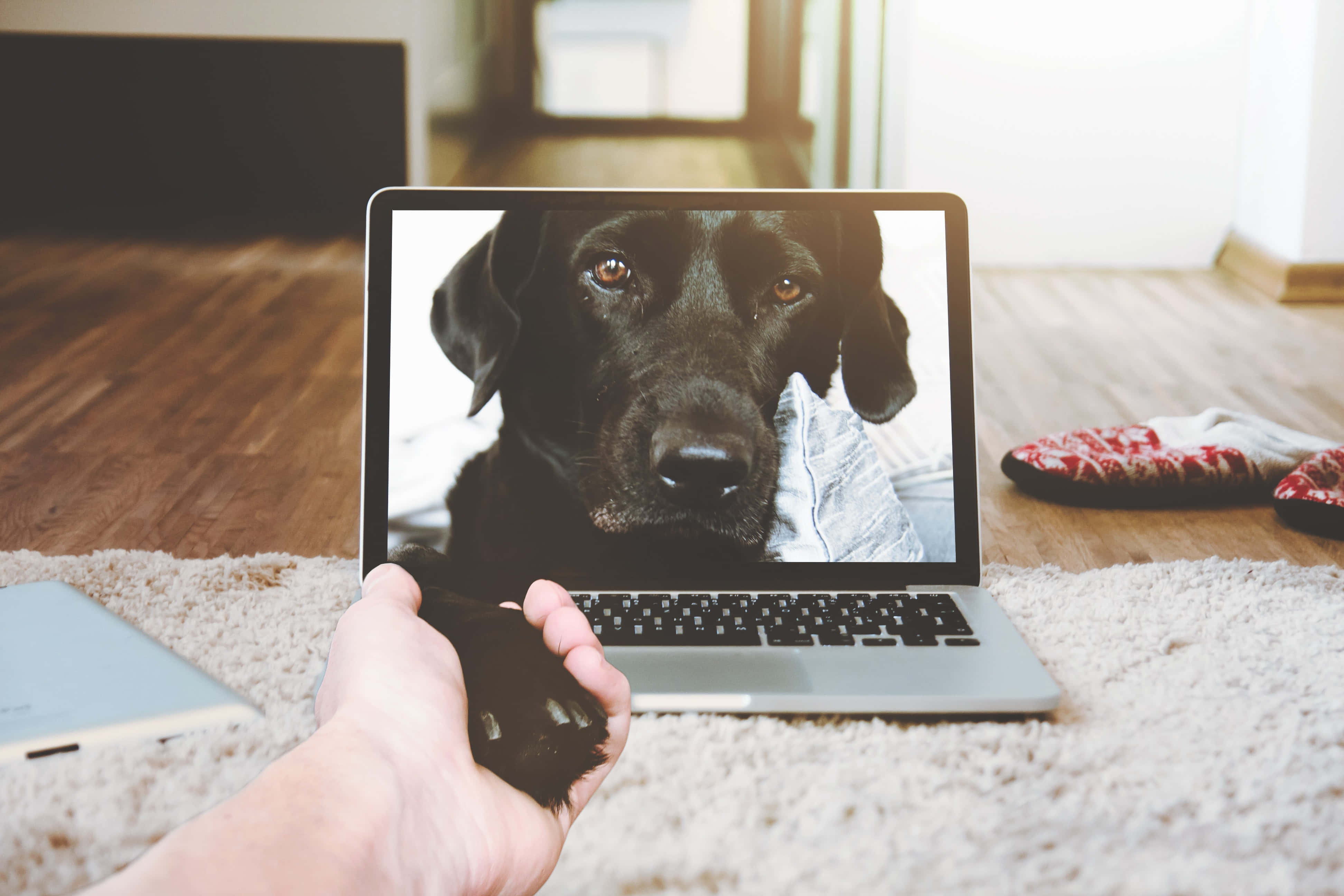 Esteettinen ja moderni hopeinen Macbook Taustakuvat