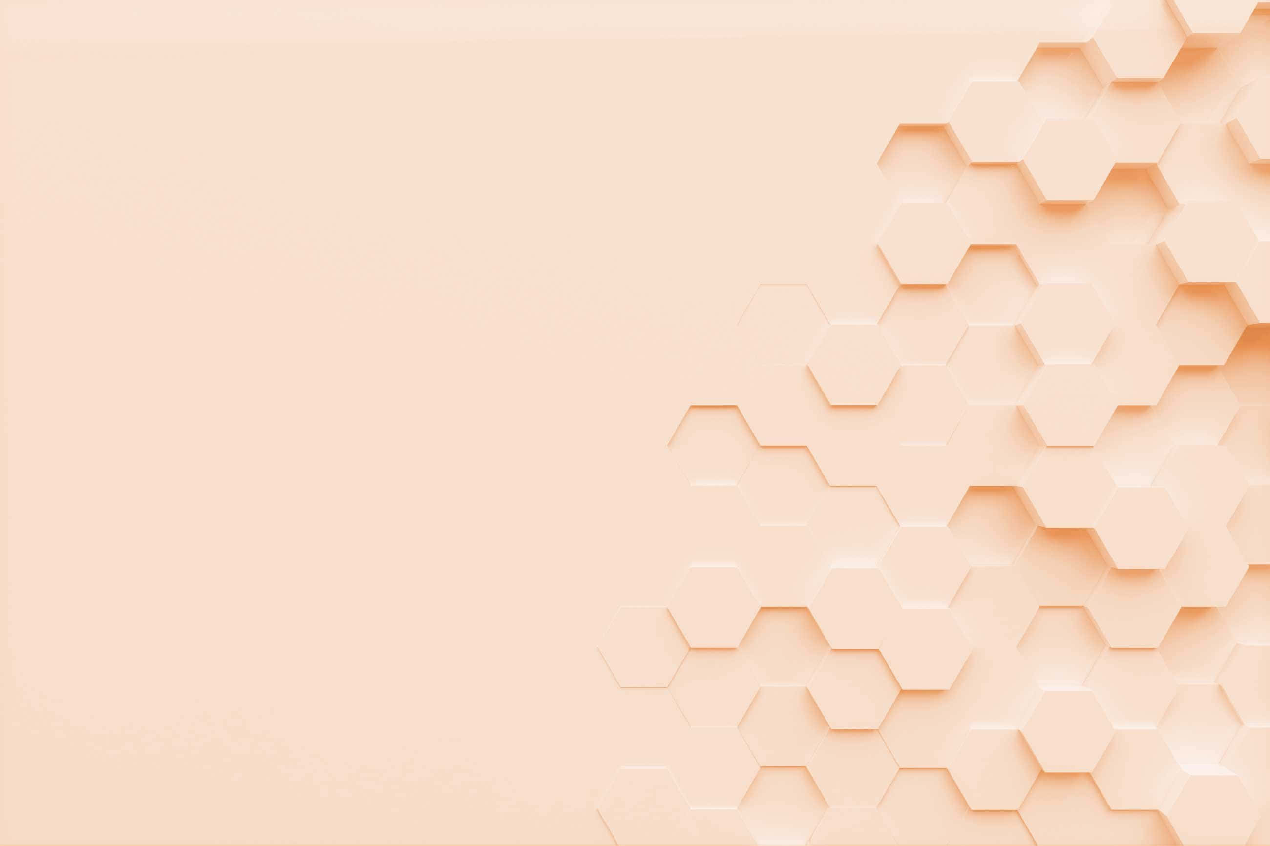 Esteettinen minimalistinen tausta - Hyödynnä rutiinisi parhaalla mahdollisella tavalla esteettisellä minimalistisella taustalla Taustakuvat