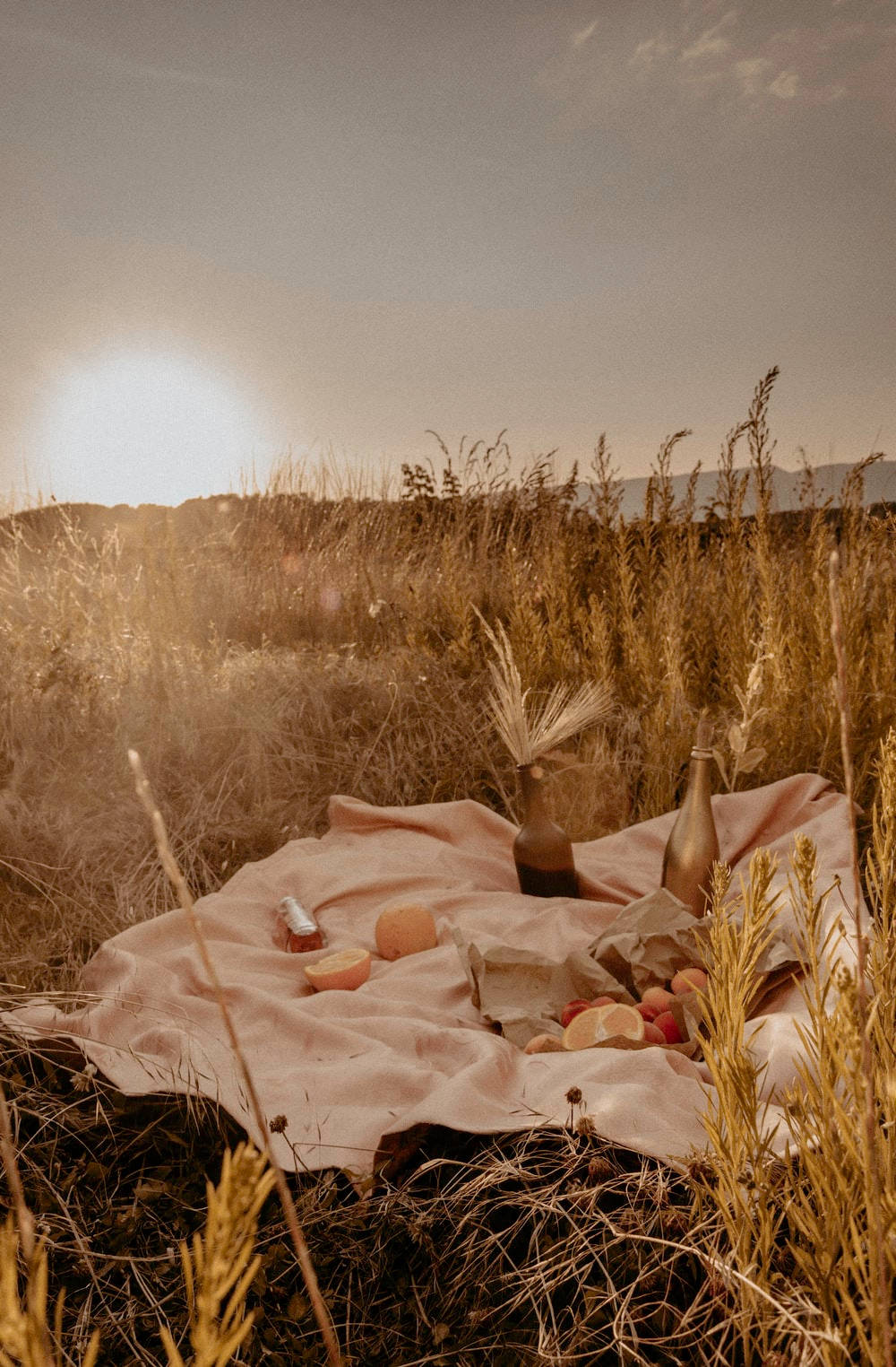Esteettinen ruskea pelto Taustakuvat