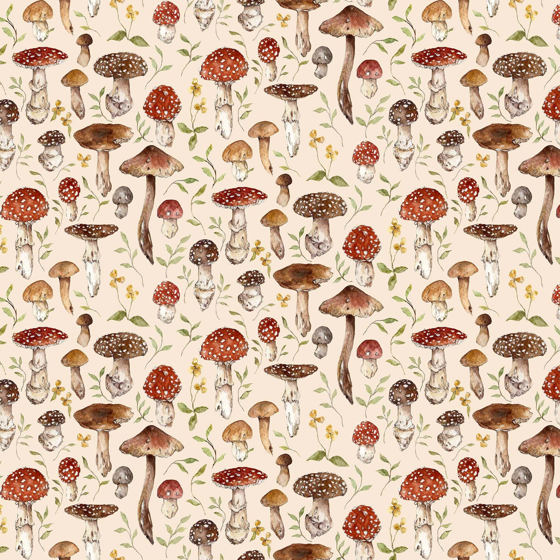Esteettinen vintage suloinen sieni beige Taustakuvat