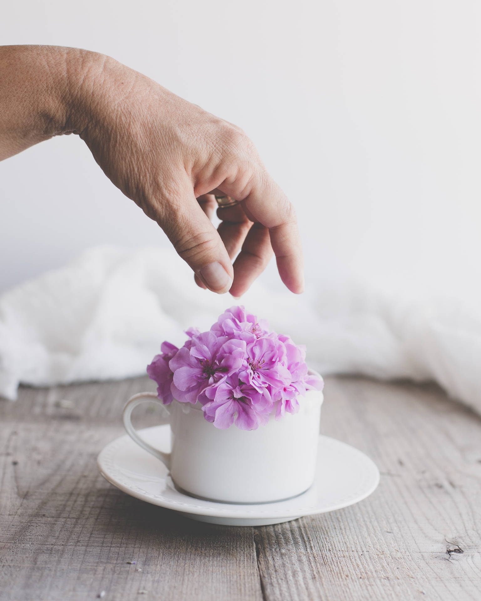 Tyylikäs violetti kukka valkoisella kupilla hienolla puisella pöydällä -taustakuva.
