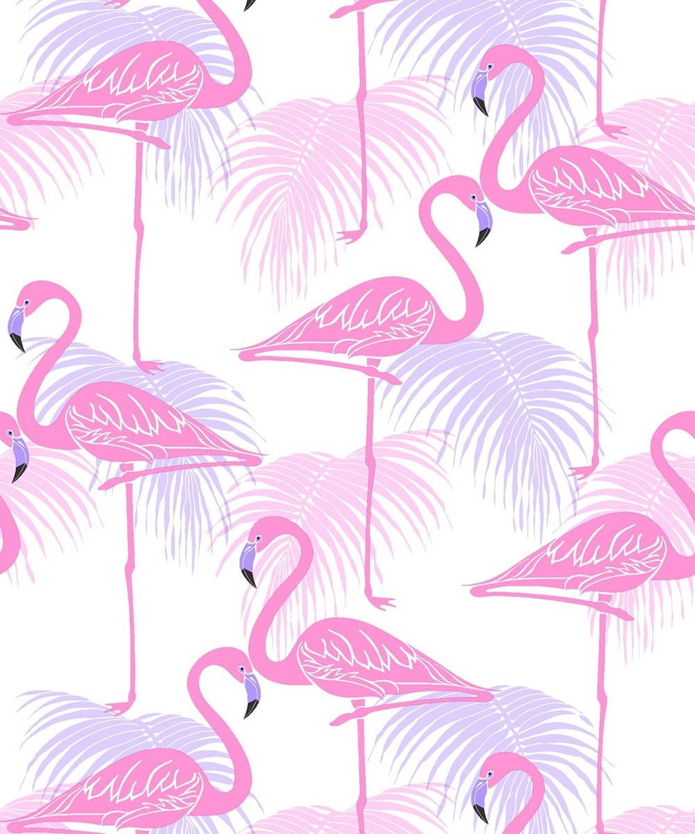 Flamingo-kuvio pinkissä ja lilassa Taustakuvat