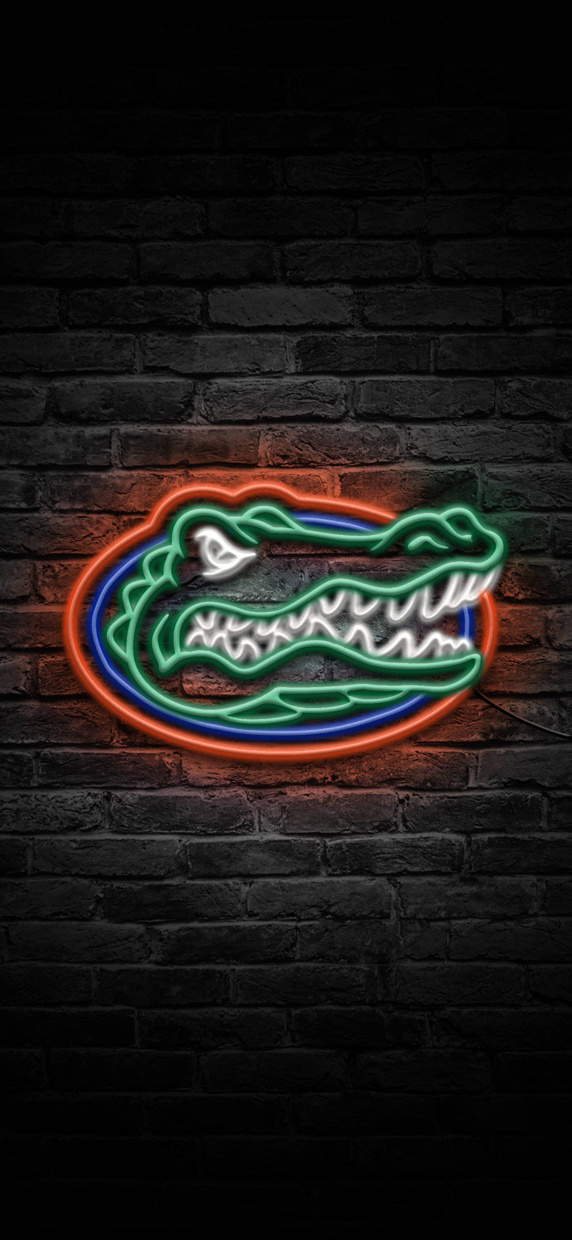 Florida Gators -logo neonvaloissa Taustakuvat