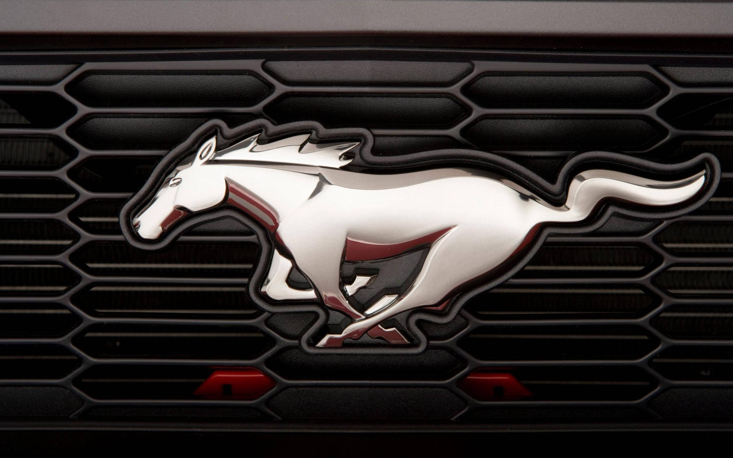 Ford Mustang HD -logo – tyylikkyys kohtaa voiman Taustakuvat