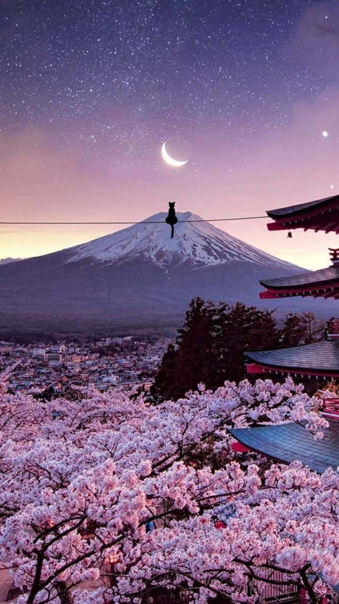 Fuji-vuori ja kirsikankukat japanilainen iPhone Taustakuvat