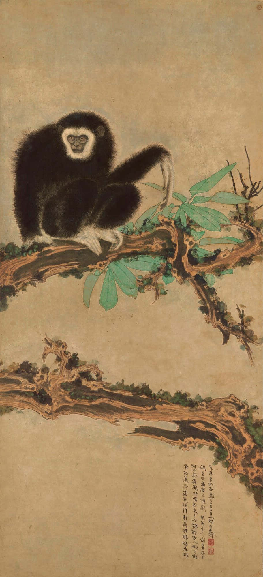 Gibbon istuu oksalla Android Taustakuvat