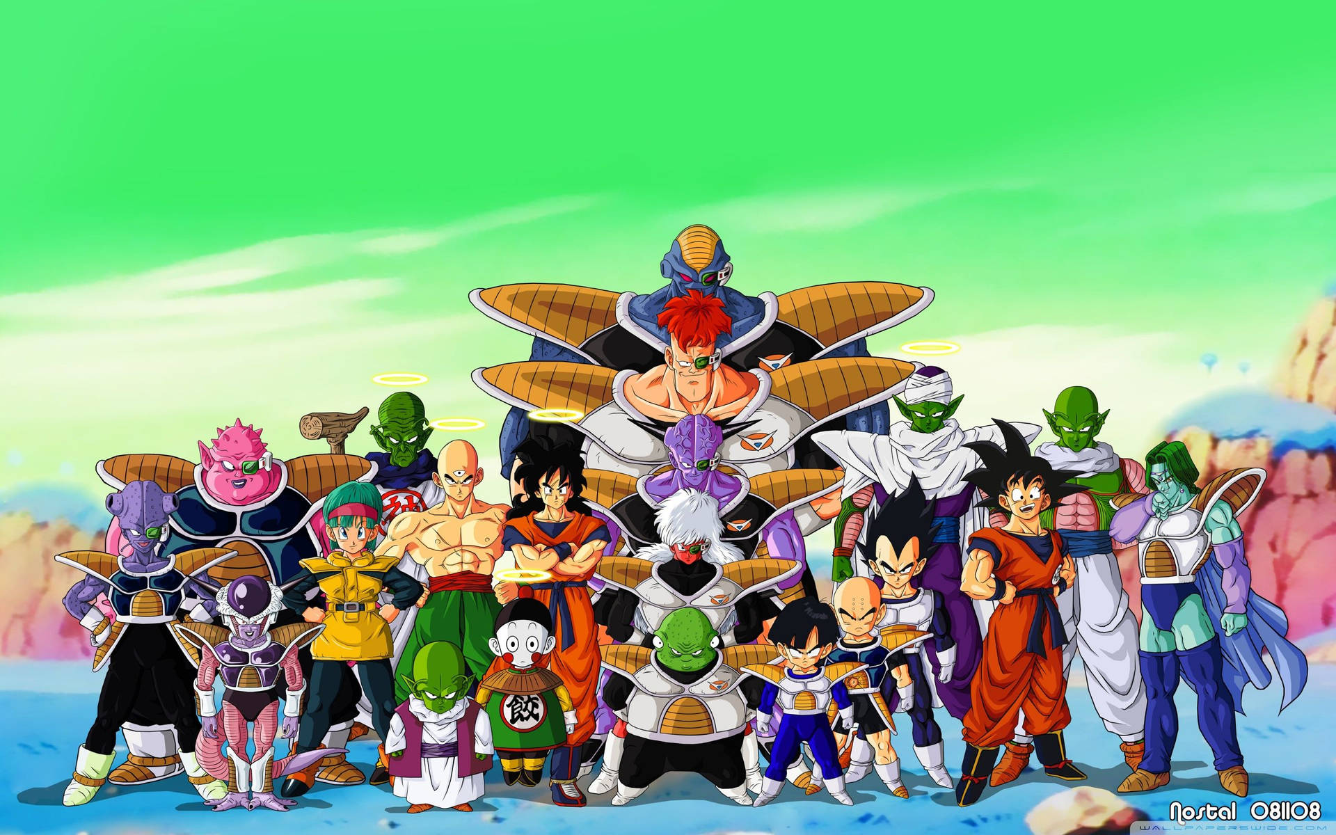 Dragon Ball Z -hahmot planeetta Namekilla San Gokun, Pikkolon ja muiden androidien kanssa.