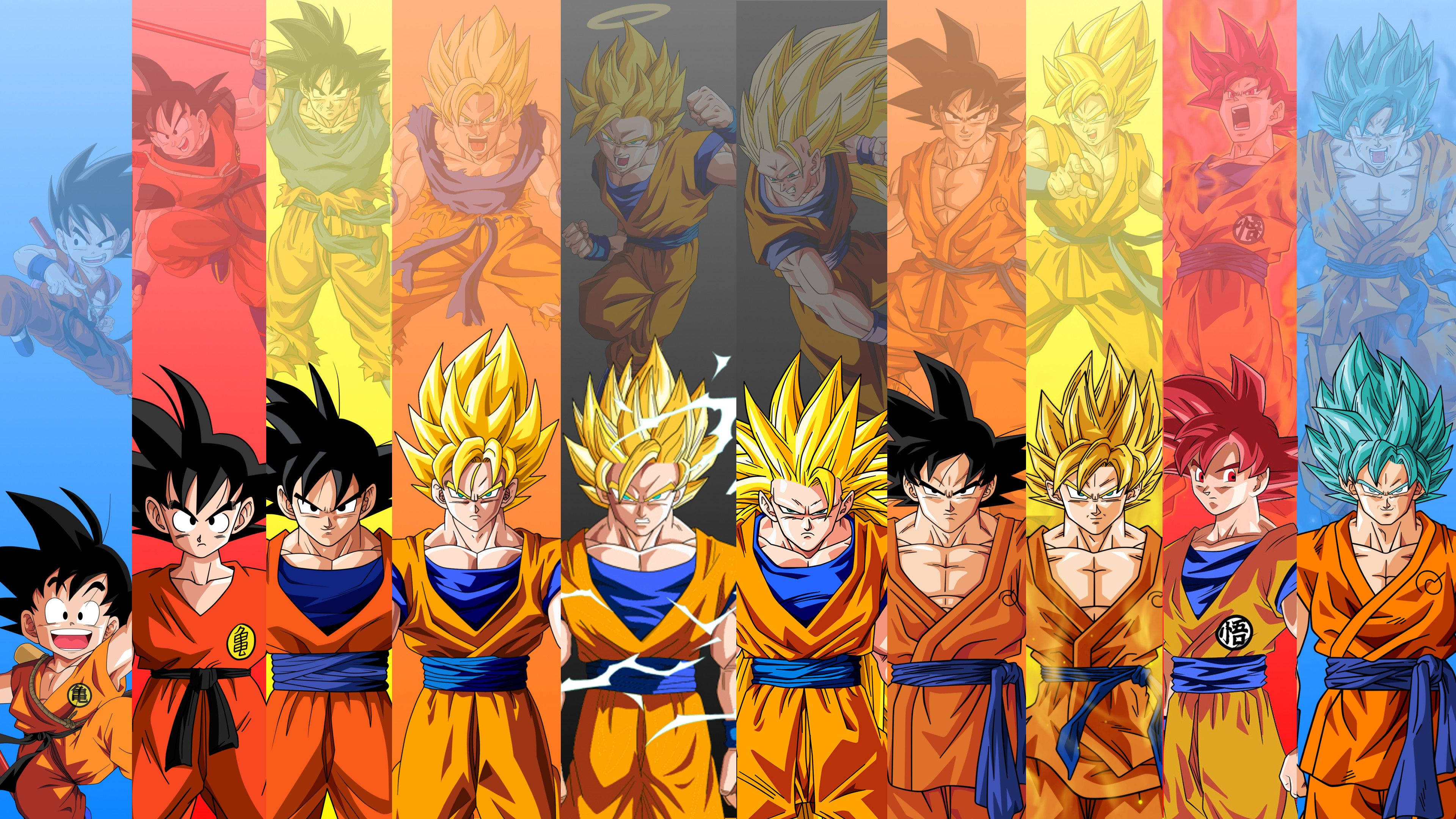 Gokun voiman polku - Lapsuudesta Super Saiyan 4:ään Taustakuvat