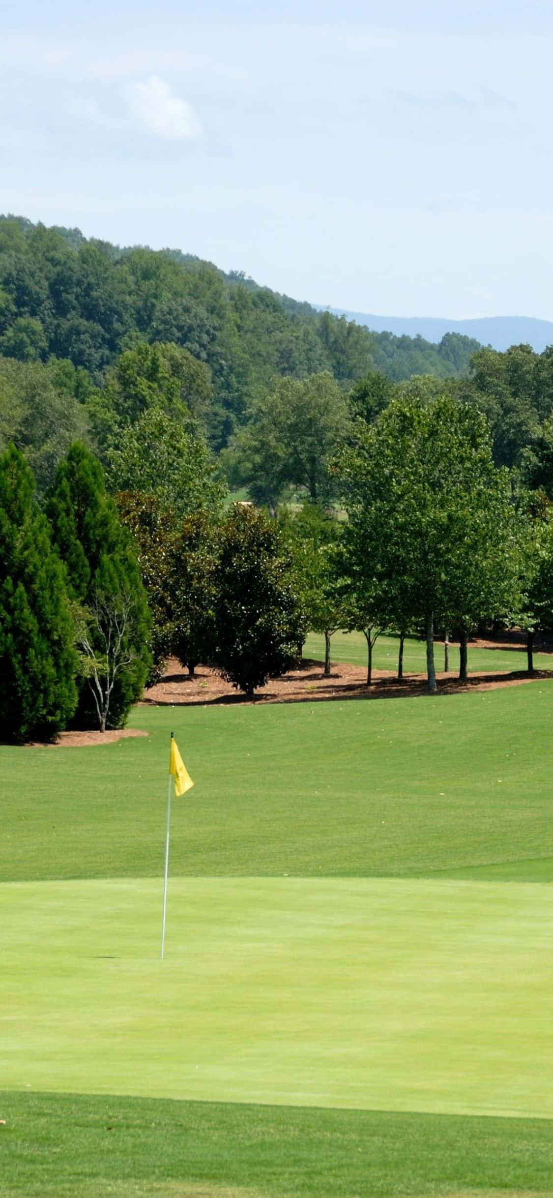 Golfaaja lyömässä palloa idyllistä taustaa vasten golfkentän kullankeltaisilla kumpuilevilla kukkuloilla Taustakuvat