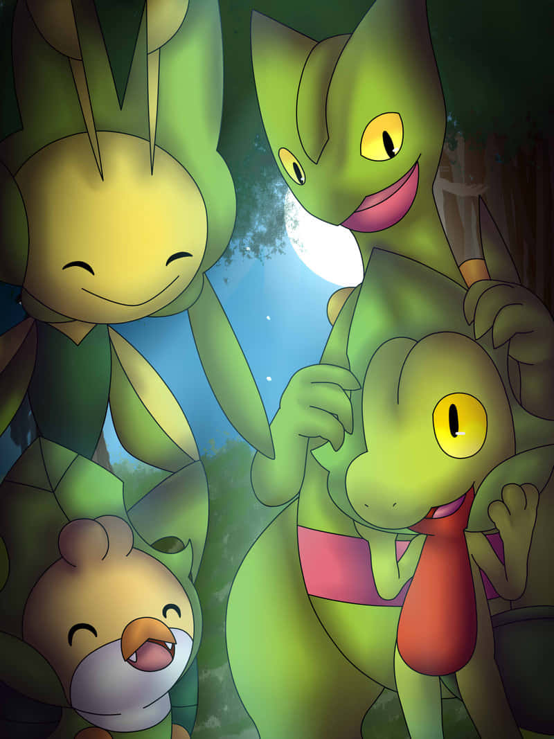 Grovyle vihreiden Pokémonien kanssa Taustakuvat