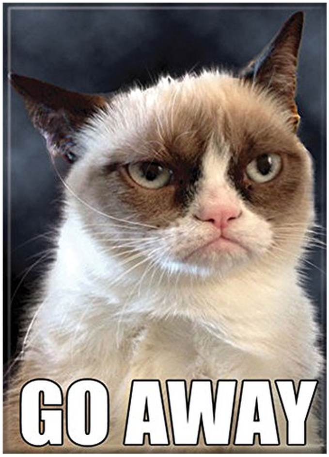 Grumpy Cat - Mene pois -meemi Taustakuvat