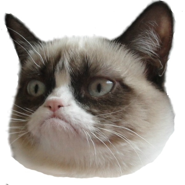 Grumpy Cat pää läpinäkyvä tausta.PNG Taustakuvat