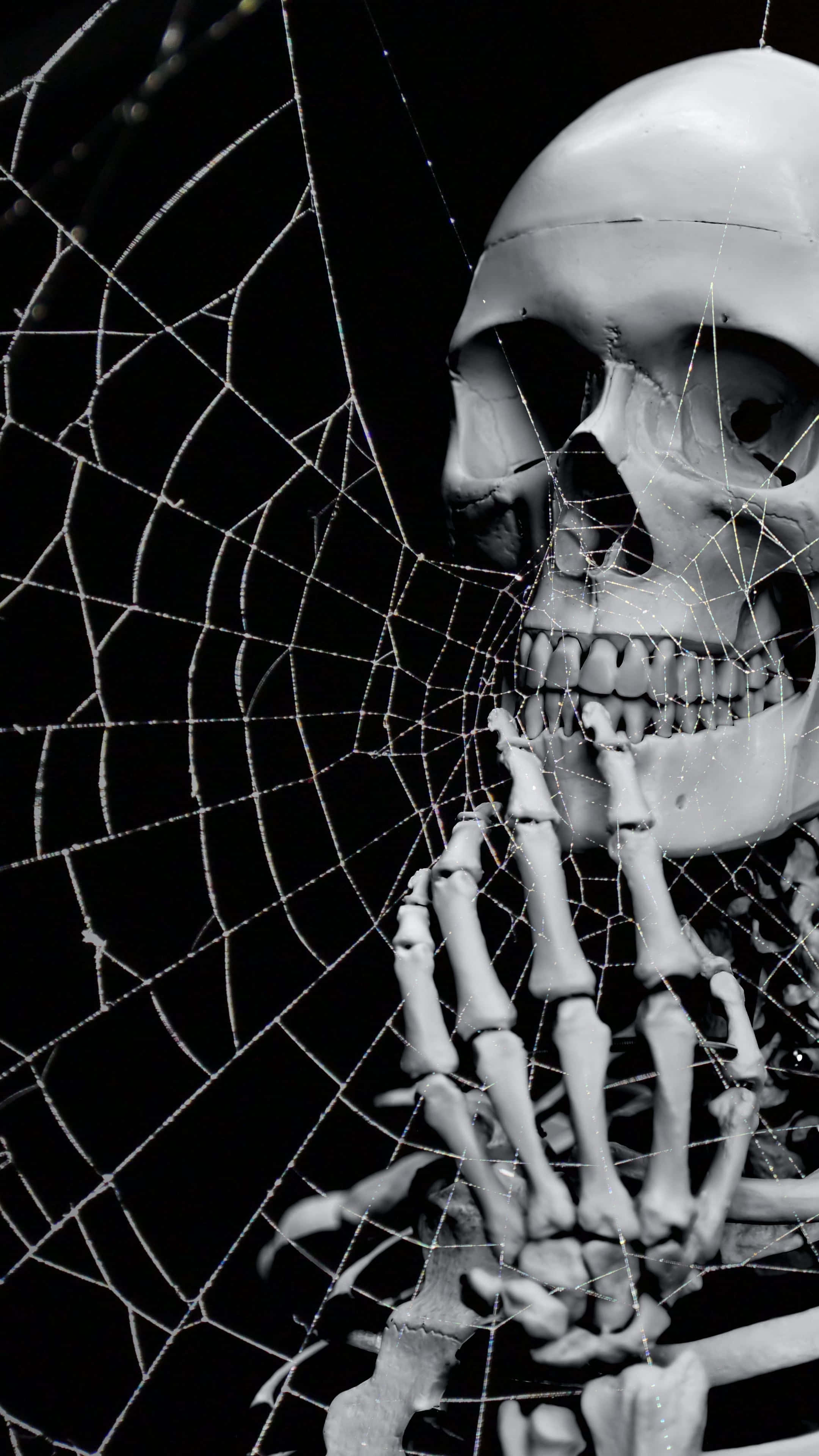 Halloween 2160 x 3840 taustakuva Taustakuvat