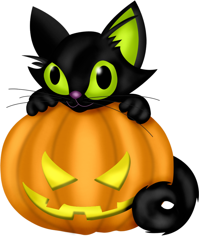 Halloween-kissa kurpitsalla Taustakuvat