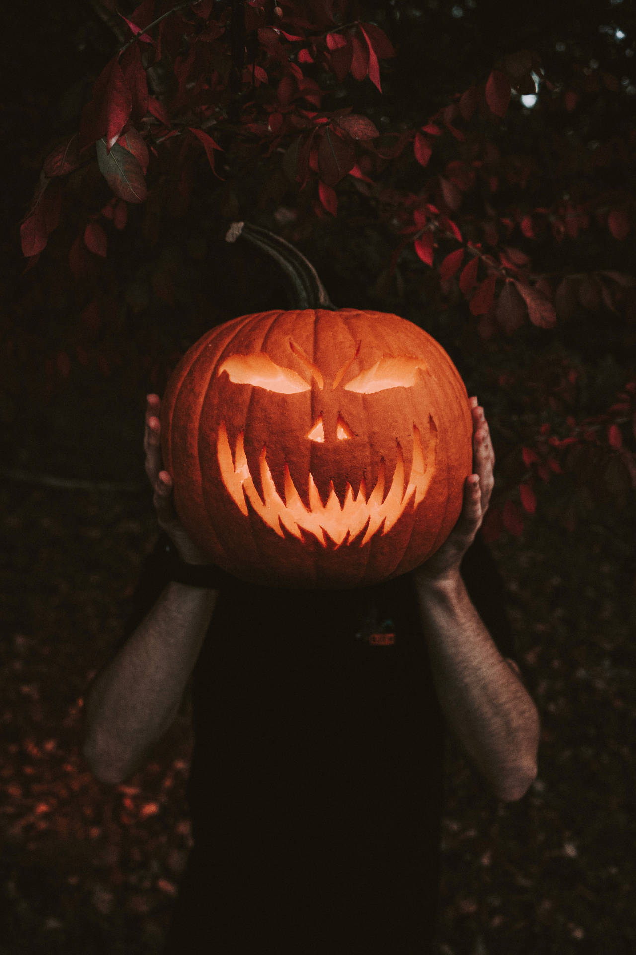 Halloween kurpitsa puhelimen taustakuva