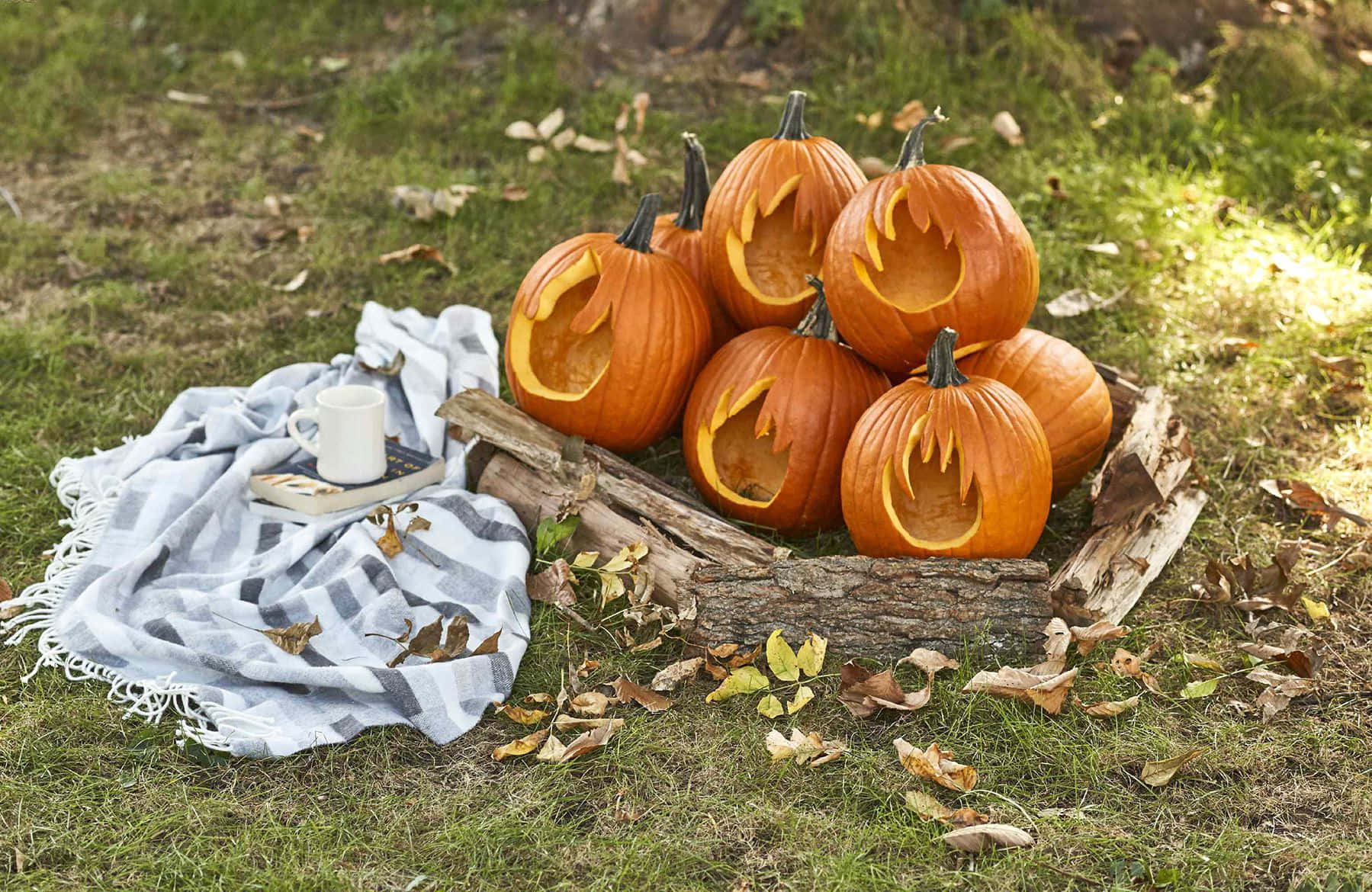 Halloween Kurpitsa Tuliveistokuva Taustakuvat