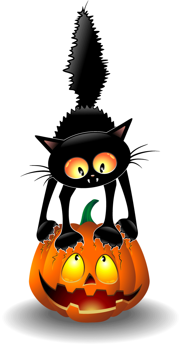Halloween musta kissa ja kurpitsalyhty Taustakuvat