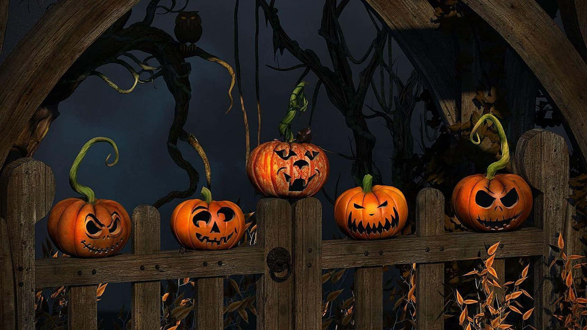 Halloween Teams -tausta puuaita Taustakuvat