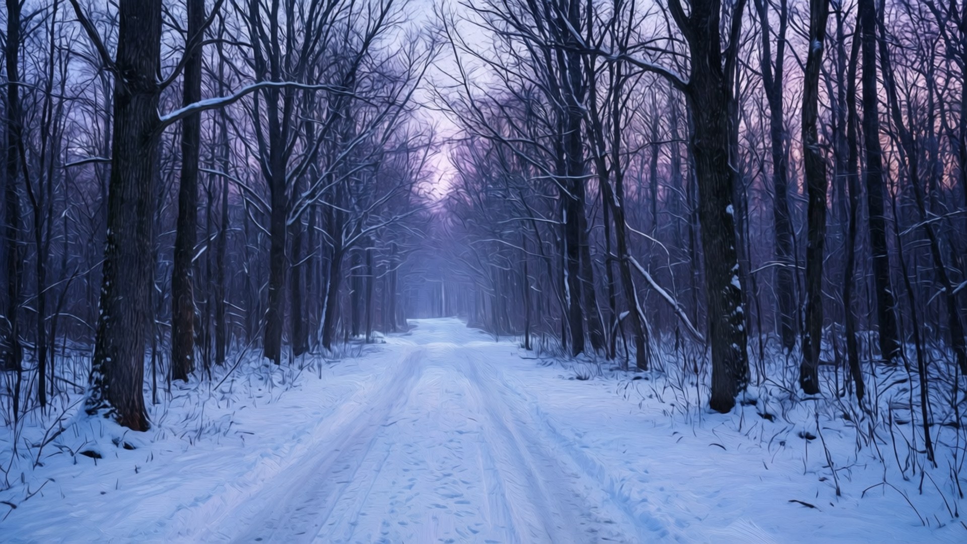 Hämärän luminen metsä Taustakuvat
