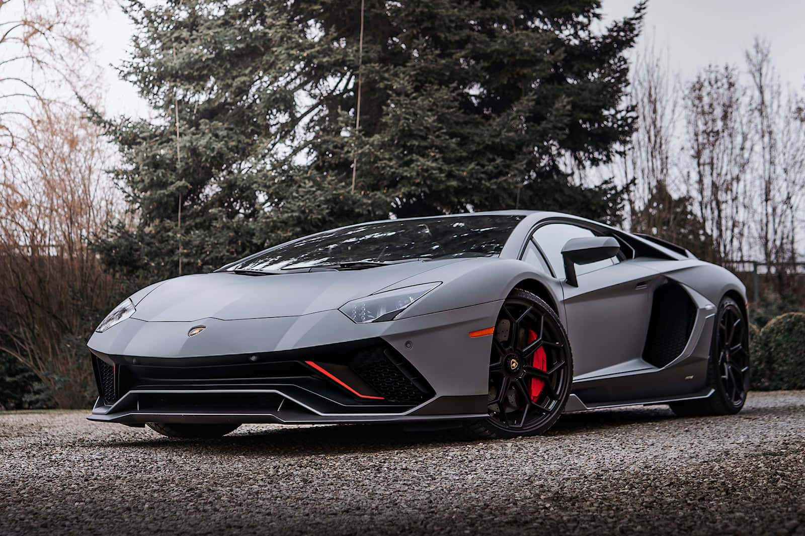 harmaa lamborghini pysäköitynä puun eteen Taustakuvat