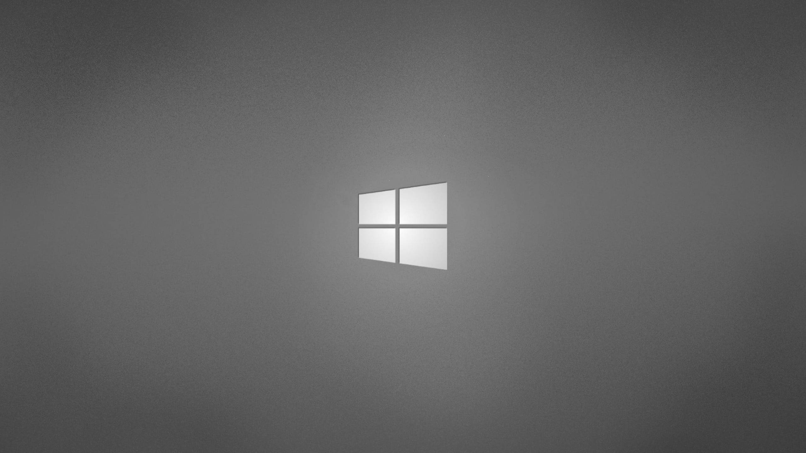 Harmaa Windows-logo ammattilaisen työpöytä Taustakuvat