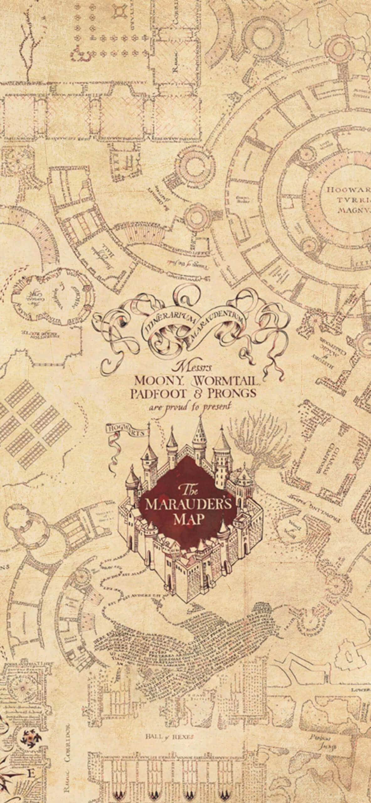 Harry Potter - Kartta huispauskartasta Taustakuvat