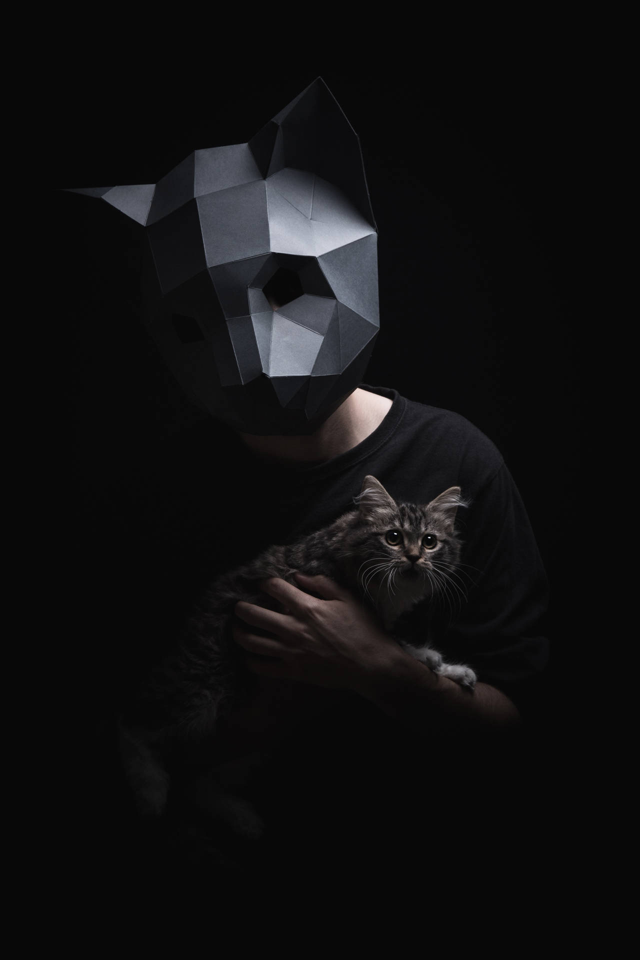 Mies käyttää 3D low-poly kissanaamaria - taustakuva
