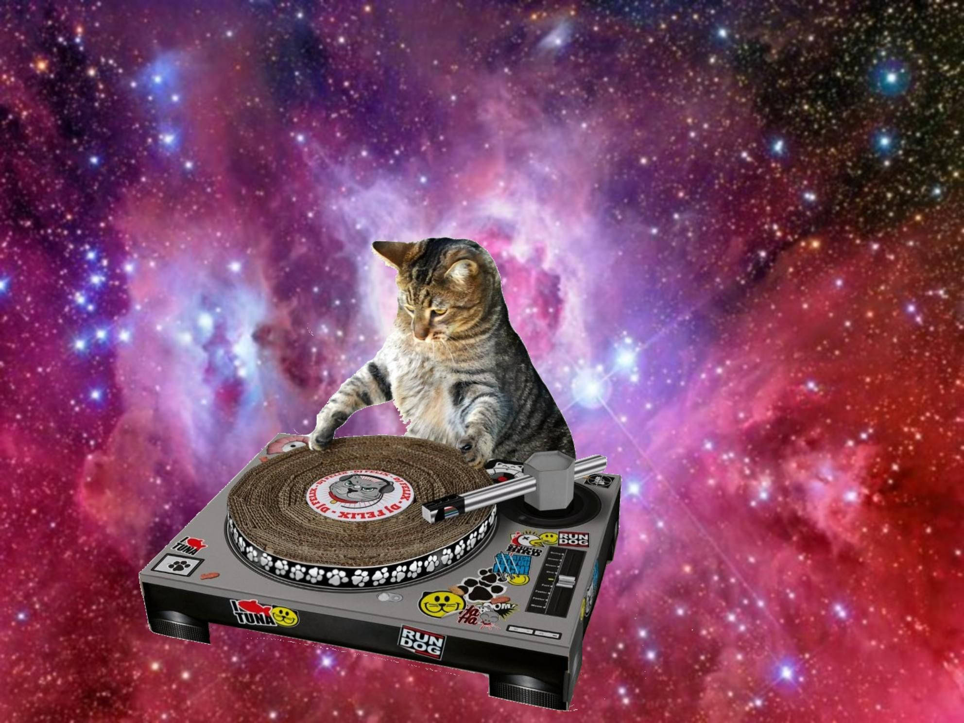 Hauska kissa DJ soittamassa avaruudessa Taustakuvat