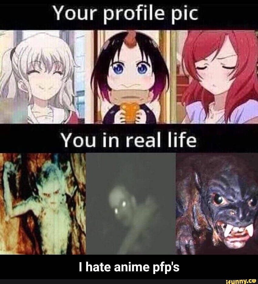 Hauska meemi profiilikuva Taustakuvat