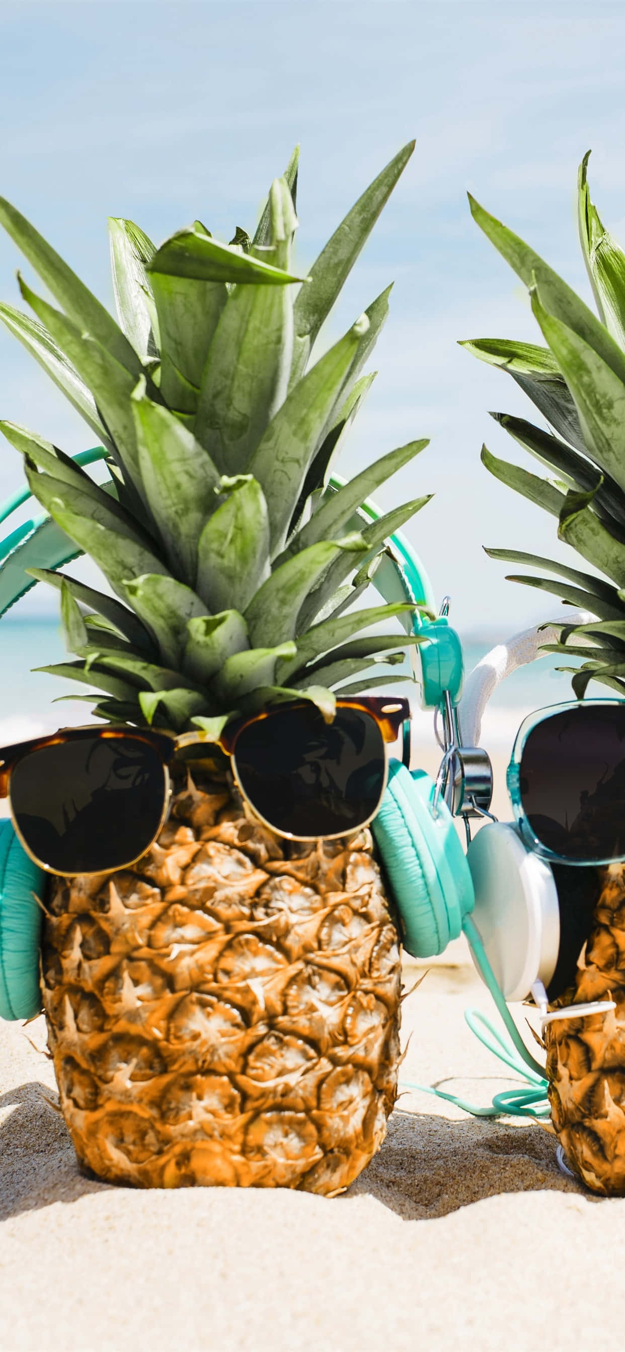 Hauska rantahassuttelu aurinkolaseissa ananas Taustakuvat